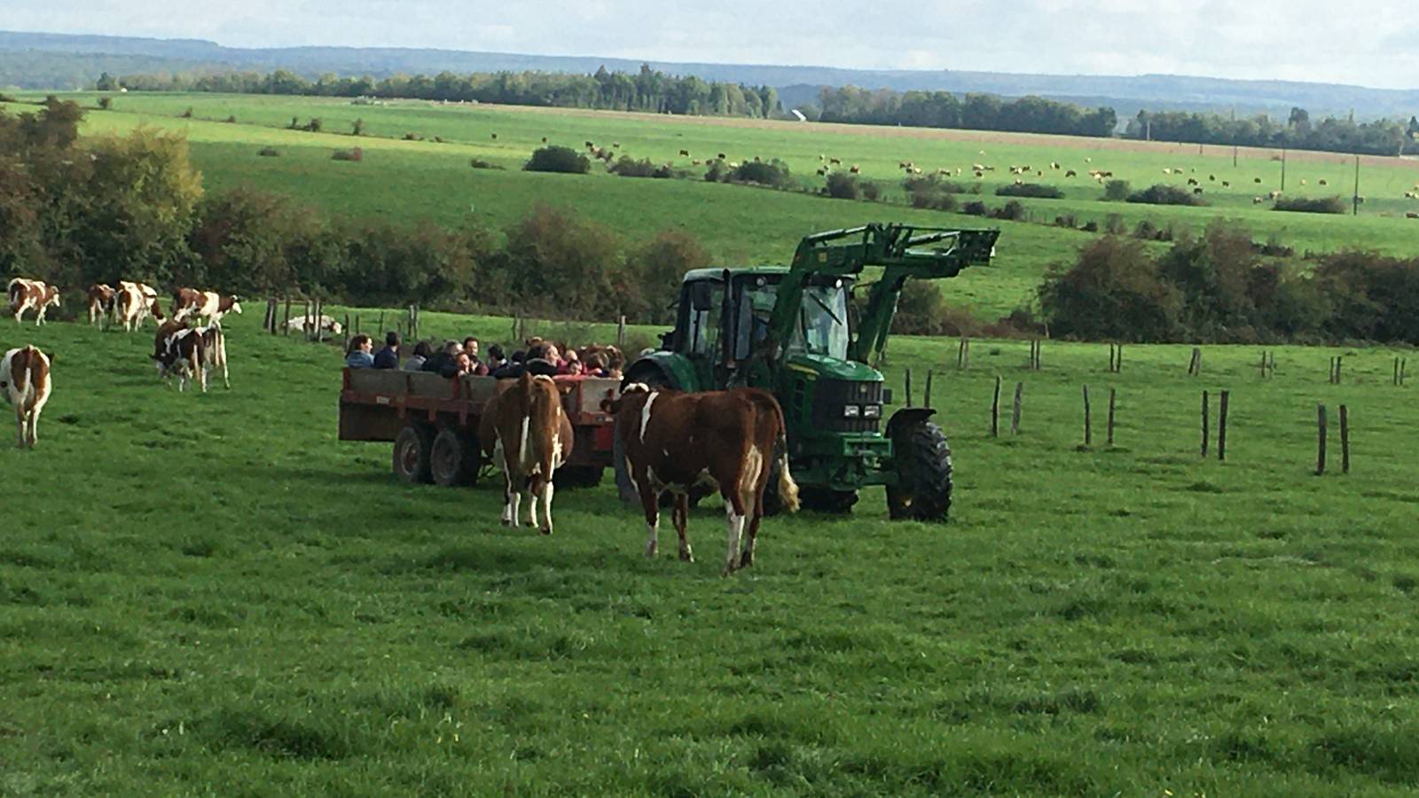  Activity Grand Est Vosges Visit and snack at the farm