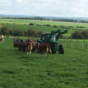 Photo of Visit and snack at the farm