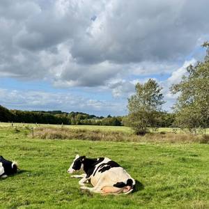 Photo de AU COEUR DES CHAMPS Accueil de Groupes