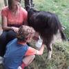 Du bon lait de chèvre -  Children's stay LES SABOTS DE LAINE (Nouvelle-Aquitaine, Haute-Vienne)