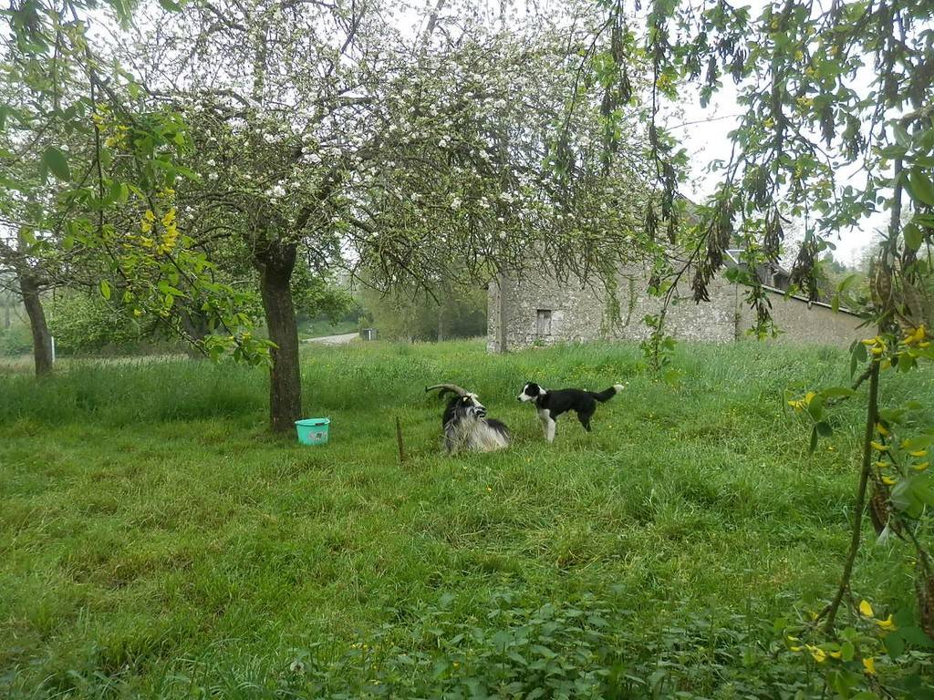Un endroit verdoyant ! - Activité Normandie Orne Mini camps