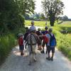 se balader avec un âne -  Séjour d’enfants asinerie d'en manaou (Occitanie, Haute-Garonne)