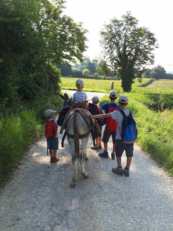 se balader avec un âne - Activité Occitanie Haute-Garonne asinerie d'en manaou