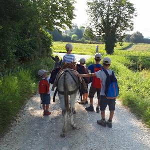 Photo de asinerie d'en manaou