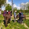  Activité éducative les ânes du biau chemin - médiation asine (Pays de la Loire, Loire-Atlantique)