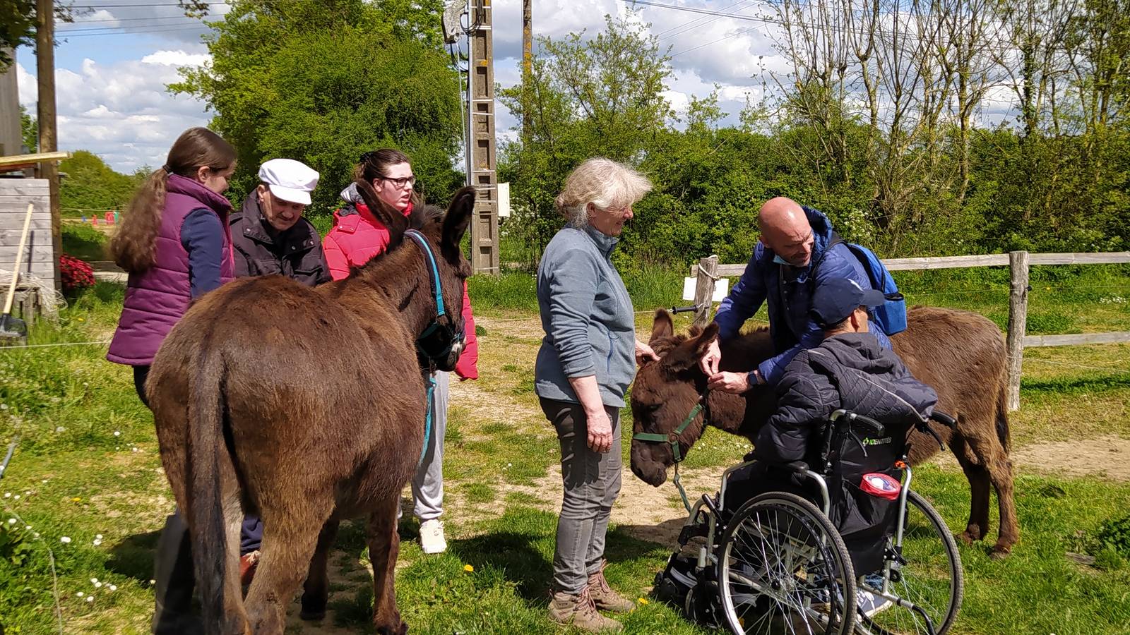Activité Pays de la Loire Loire-Atlantique les ânes du biau chemin - médiation asine