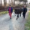  Activité éducative A la découverte de l'âne (Pays de la Loire, Loire-Atlantique)