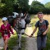  Activité éducative A la découverte de l'âne (Pays de la Loire, Loire-Atlantique)
