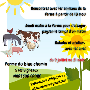 Photo of meet the farm animals