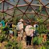Naturellement Simples - stage autour des plantes -  Educational activity Plant workshops (Occitanie, Aveyron)