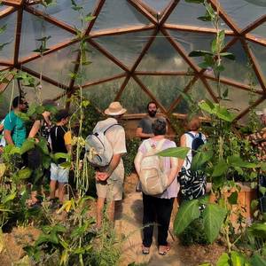 Photo de Stages autour des plantes