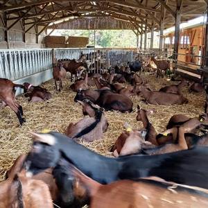 Photo de Visite guidée