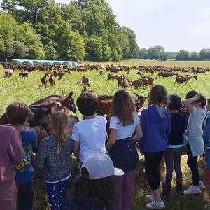 Photo de Accueil pédagogique