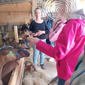 Photo de Accueil social-pédagogique