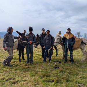 Photo de Les Petits Fermiers