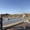 Prise du gros sel -  Activité éducative Visite de saline (Pays de la Loire, Loire-Atlantique)