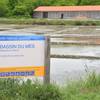 La salorge de Rostu -  Activité éducative Visite de saline (Pays de la Loire, Loire-Atlantique)