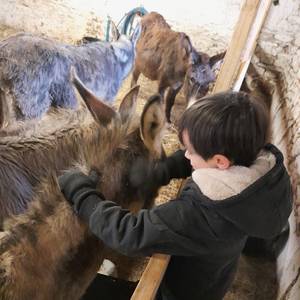 Photo of Little caretaker