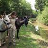  Activité éducative les ânes du biaù chemin - balade (Pays de la Loire, Loire-Atlantique)