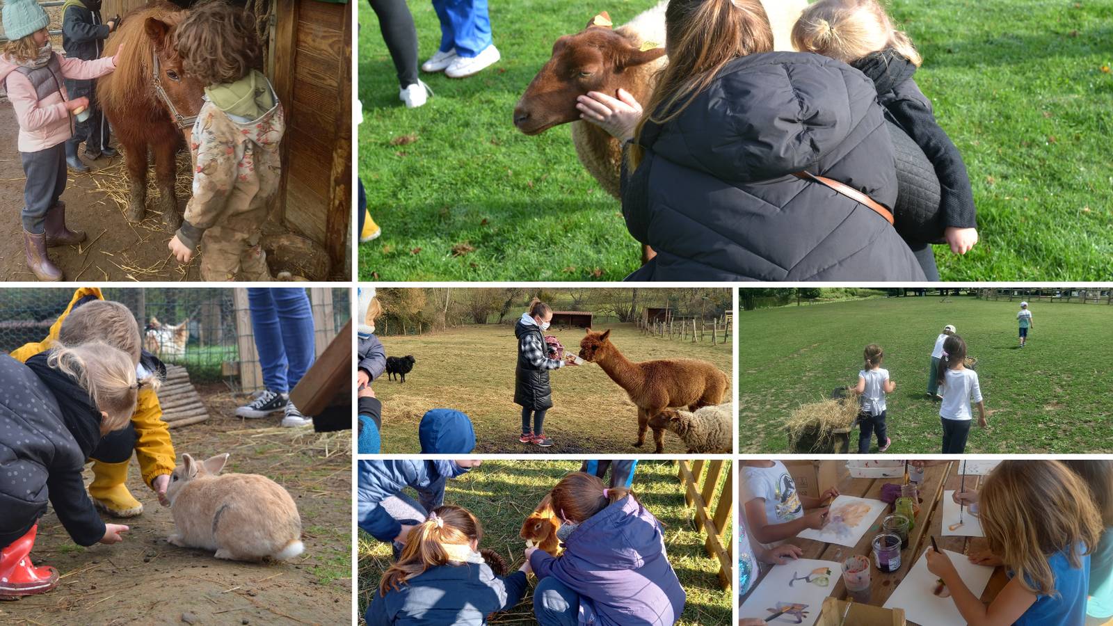 activités manuelles et autour des animaux