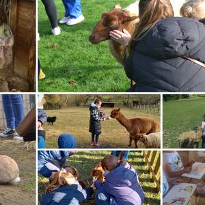Photo of Guided tour of the farm and various workshops