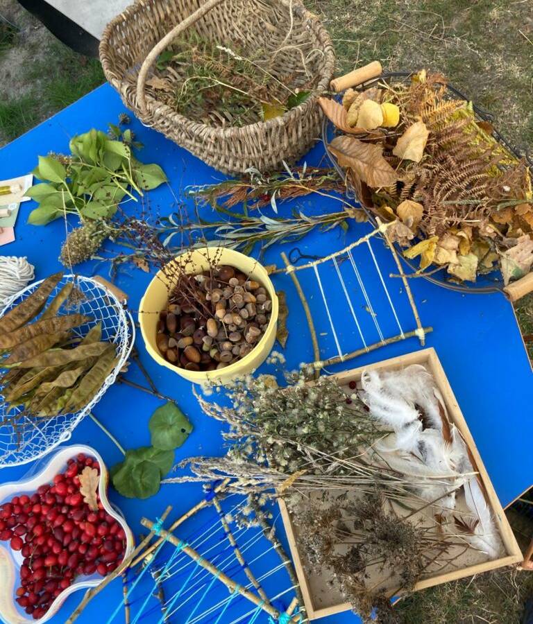 Activity Pays de la Loire Vendée Ferme pédagogique animations nature