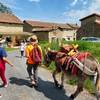  Activité éducative ZigZ'Ânes - Randonnées accompagnées avec un âne -  ateliers pour les petits (Auvergne-Rhône-Alpes, Puy-de-Dôme)