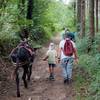 Activité éducative ZigZ'Ânes - Randonnées accompagnées avec un âne -  ateliers pour les petits (Auvergne-Rhône-Alpes, Puy-de-Dôme)