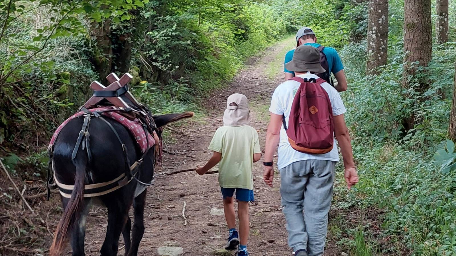  Activité Auvergne-Rhône-Alpes Puy-de-Dôme ZigZ'Ânes - Randonnées accompagnées avec un âne -  ateliers pour les petits