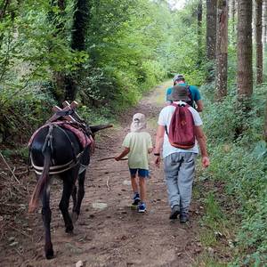 Photo de ZigZ'Ânes - Randonnées accompagnées avec un âne -  ateliers pour les petits