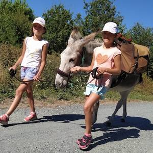Photo de Randonner avec un âne