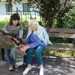 Photo de Asino-médiation