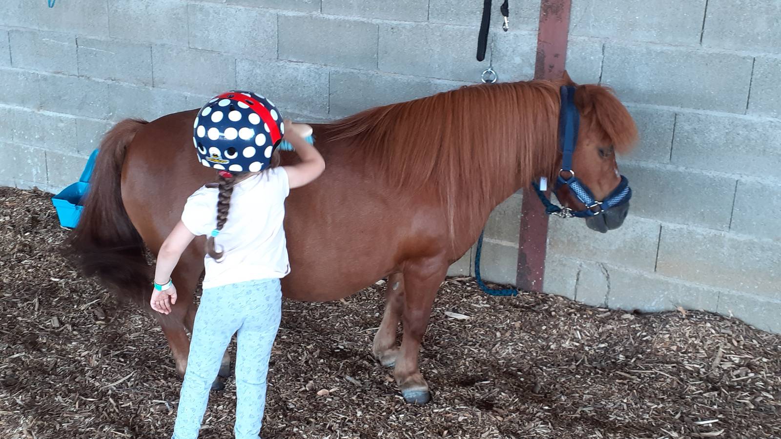  Activité Bourgogne-Franche-Comté Doubs équimotricité(c)