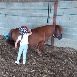 Photo de équimotricité(c)