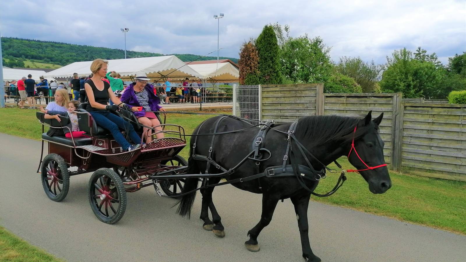  Activité Bourgogne-Franche-Comté Doubs Attelage