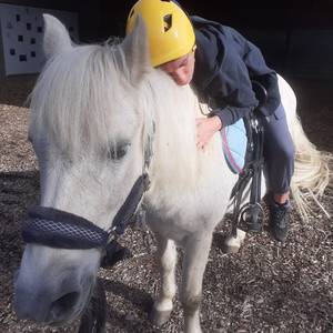 Photo de Accompagnement avec la médiation du cheval