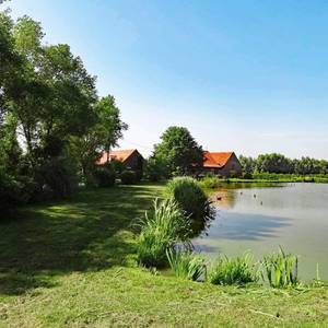 Photo de La ferme aux paons