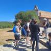 Educational activity Vineyard and olive-tree discovery walk Agly Valley (Occitanie, Pyrénées-Orientales)