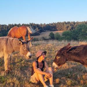 Photo de Animations pour petits et grands