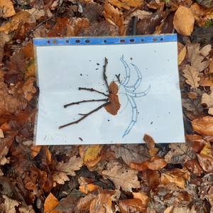 Photo de Ecole du dehors