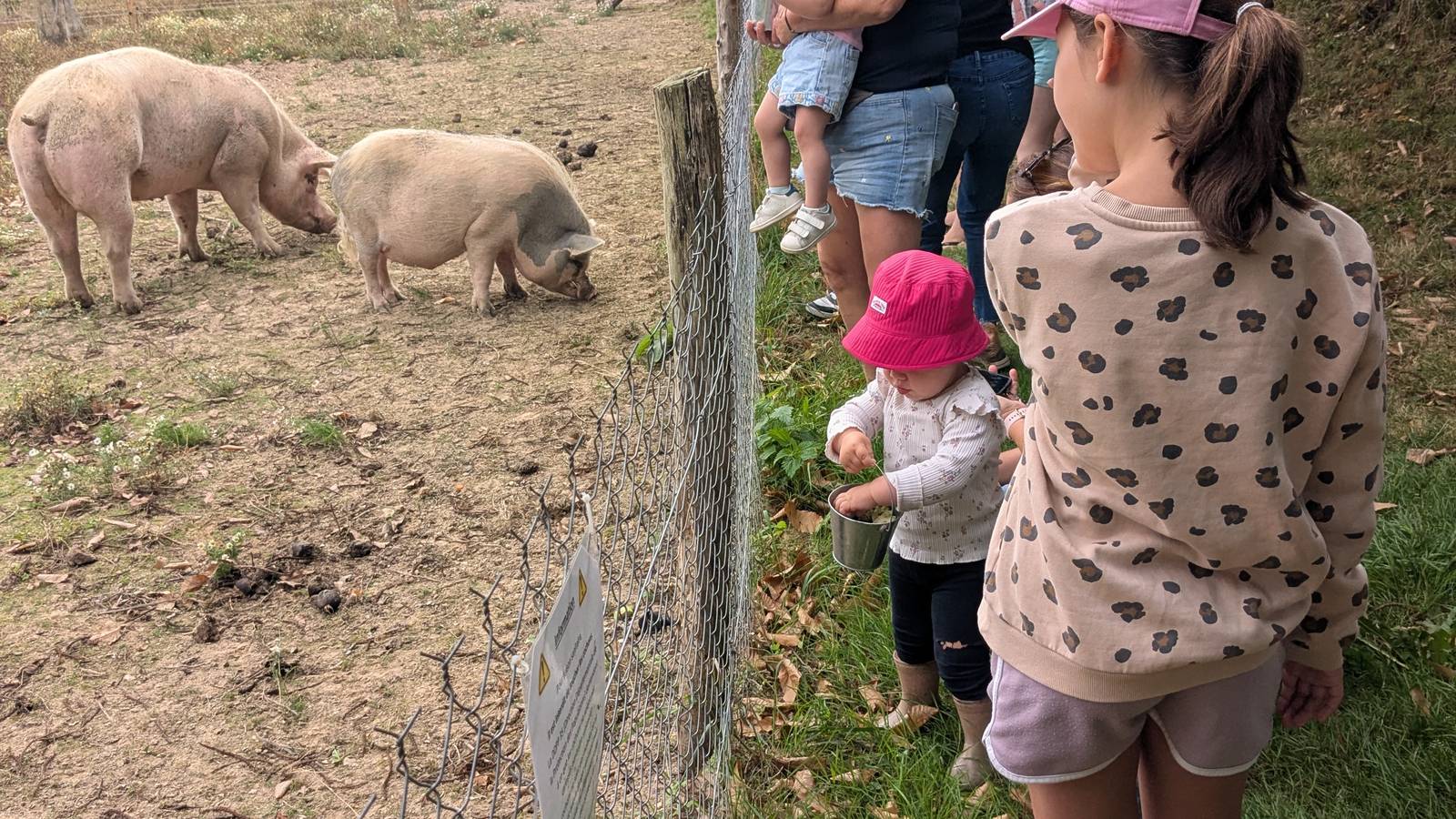  Activité Bretagne Ille-et-Vilaine Visite libre de la ferme pédagogique