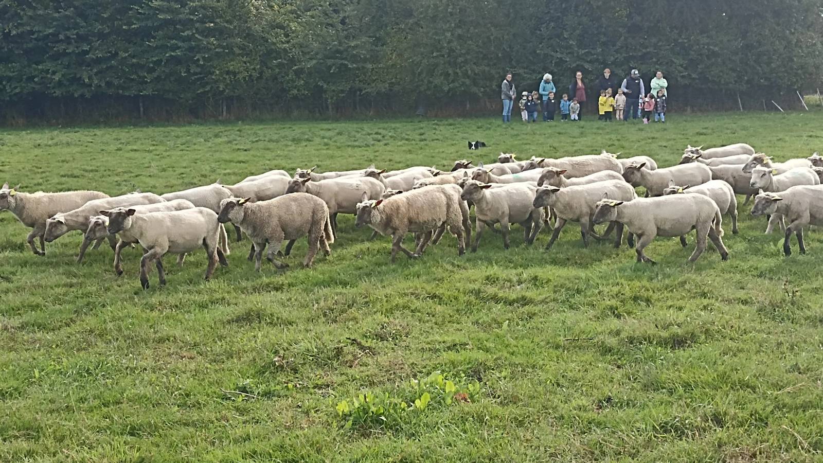  Activité Pays de la Loire Maine-et-Loire Ferme pédagogique de la Casserie