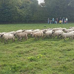 Photo de Ferme pédagogique de la Casserie