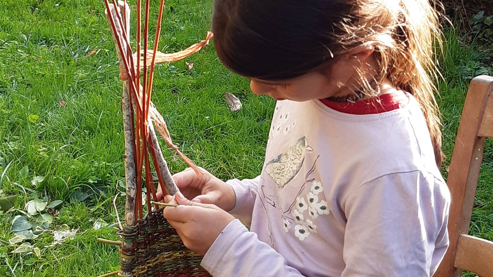  Activité Bourgogne-Franche-Comté Jura Activité Nid d'Osier