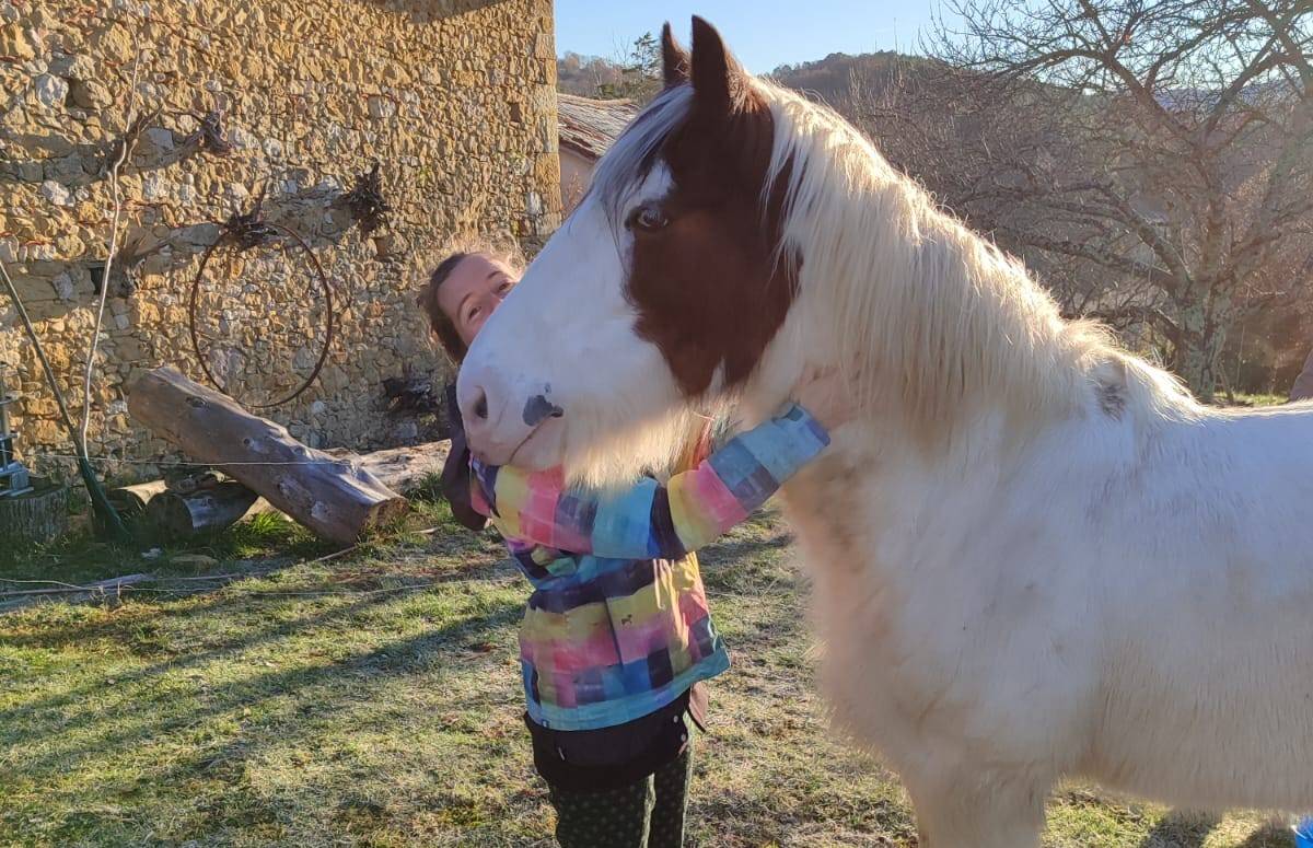  Activité Occitanie Ariège Cours d'anglais en immersion à la ferme