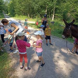 Photo de Les ateliers du petit ânier