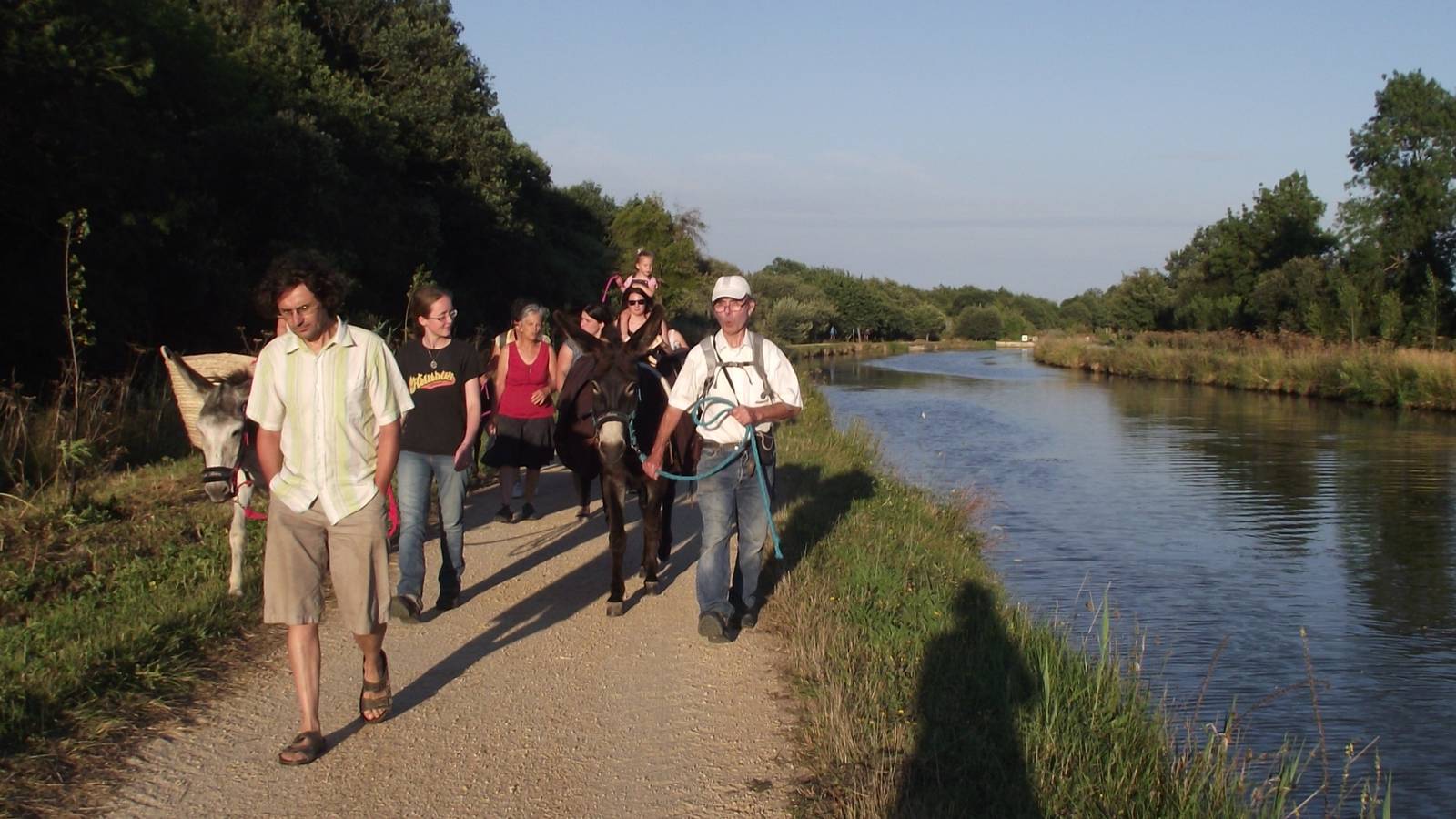  Activité Pays de la Loire Loire-Atlantique ATELIERS DECOUVERTE DES ÂNES - BALAD'ÂNES COLLECTIVE