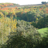  Educational activity Group Visits (Auvergne-Rhône-Alpes, Loire)