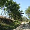  Educational activity Group Visits (Auvergne-Rhône-Alpes, Loire)