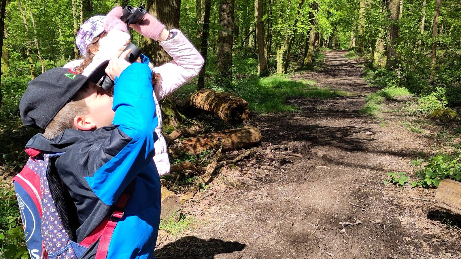 Activité Hauts-de-France Nord Vivre des ateliers de découverte de la Nature à la Maison Forestière